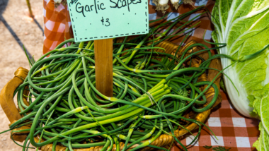How to Cook Garlic Scapes