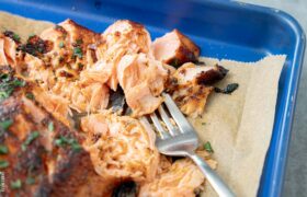 oven broiled salmon recipes
